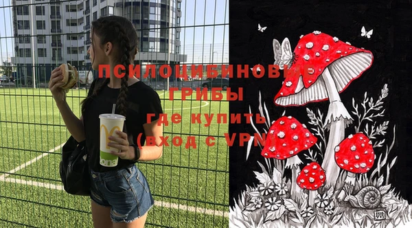 круглые Алексеевка
