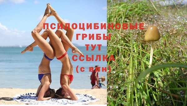 круглые Алексеевка