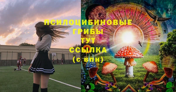 гидропоника Алексин