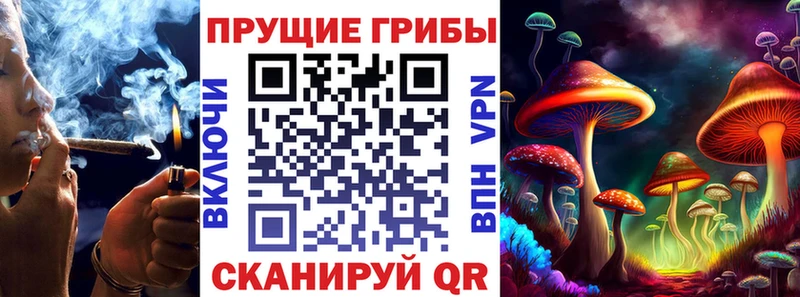 Псилоцибиновые грибы GOLDEN TEACHER  как найти наркотики  Тейково 